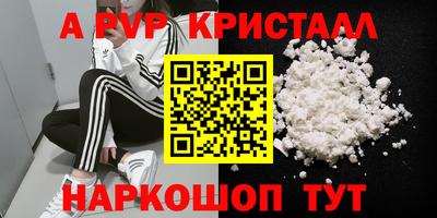 стафф Донской