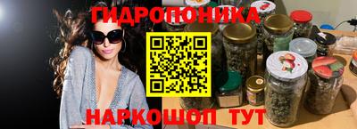 стафф Донской