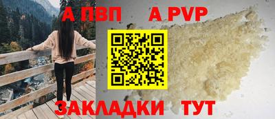 стафф Донской