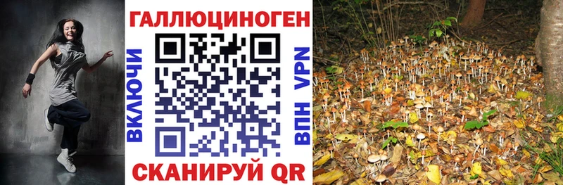 купить наркоту  маркетплейс телеграм  Псилоцибиновые грибы Cubensis  Северобайкальск 