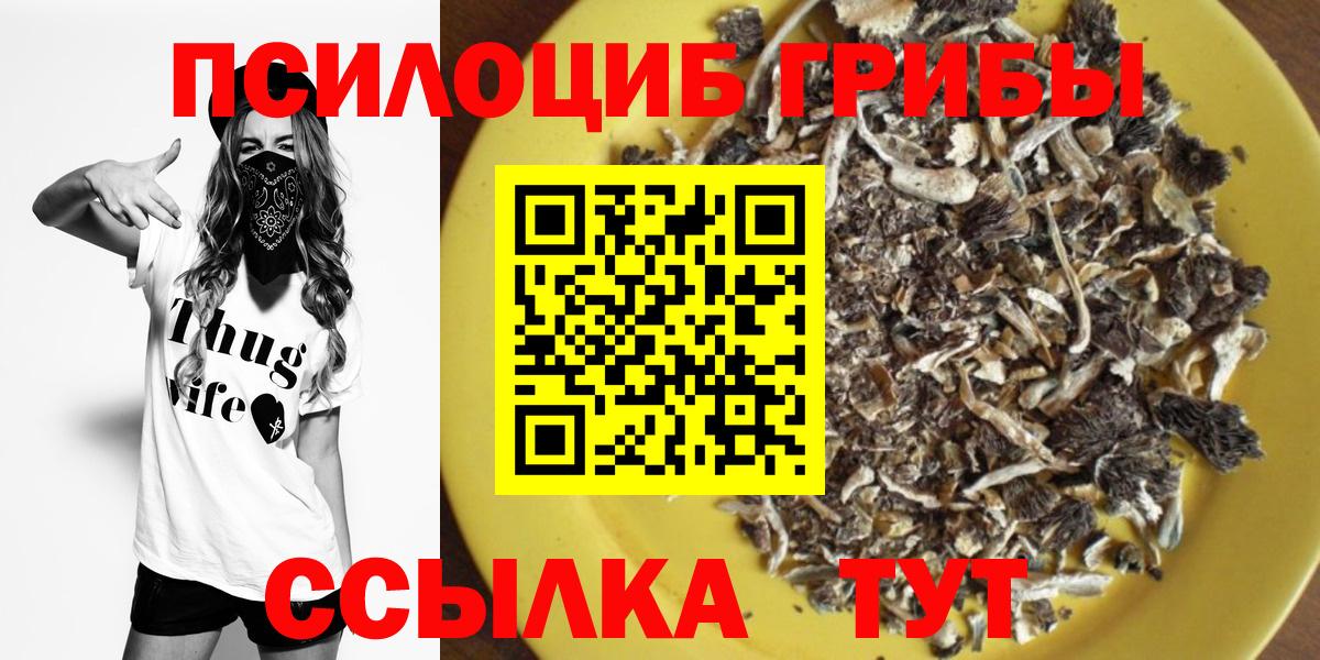 Галлюциногенные грибы мицелий Северобайкальск